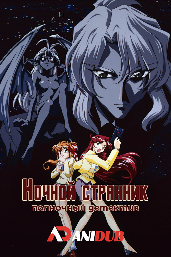 Ночной странник: Полночный детектив / Night Walker: Mayonaka no Tantei [12 из 12]